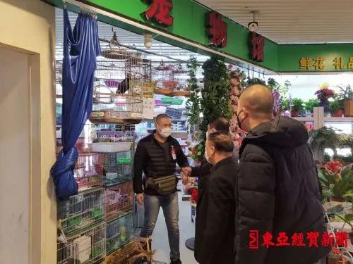 探索自然美景之旅，揭秘2017鷯哥銷售最新資訊，尋找內(nèi)心的平靜與喜悅