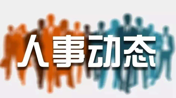 長治市人事任免信息解析，日常故事與任免動態(tài)