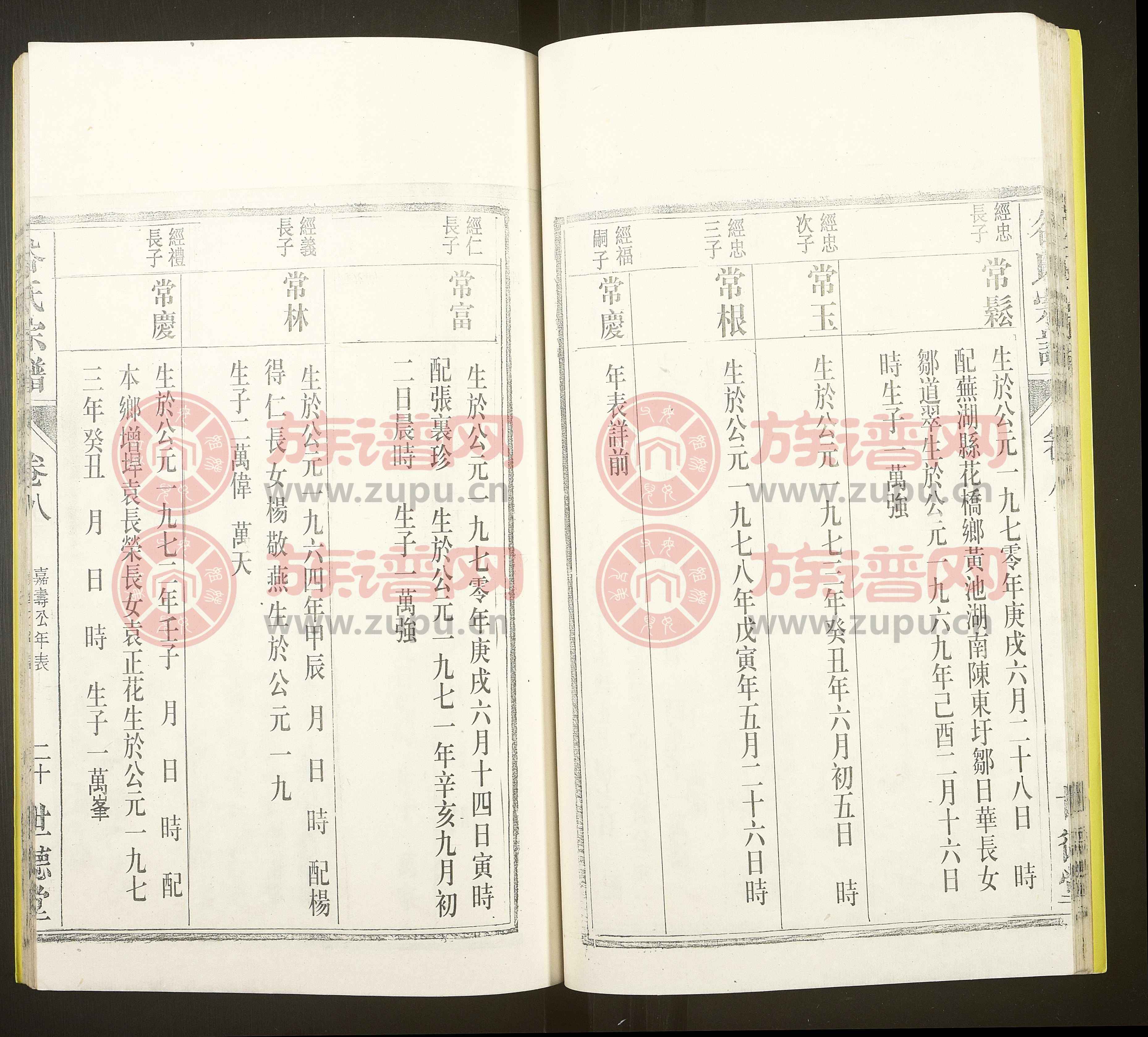 谷氏族譜更新版，探尋歷史脈絡(luò)，傳承家族榮耀與榮耀谷氏血脈的世代傳承故事