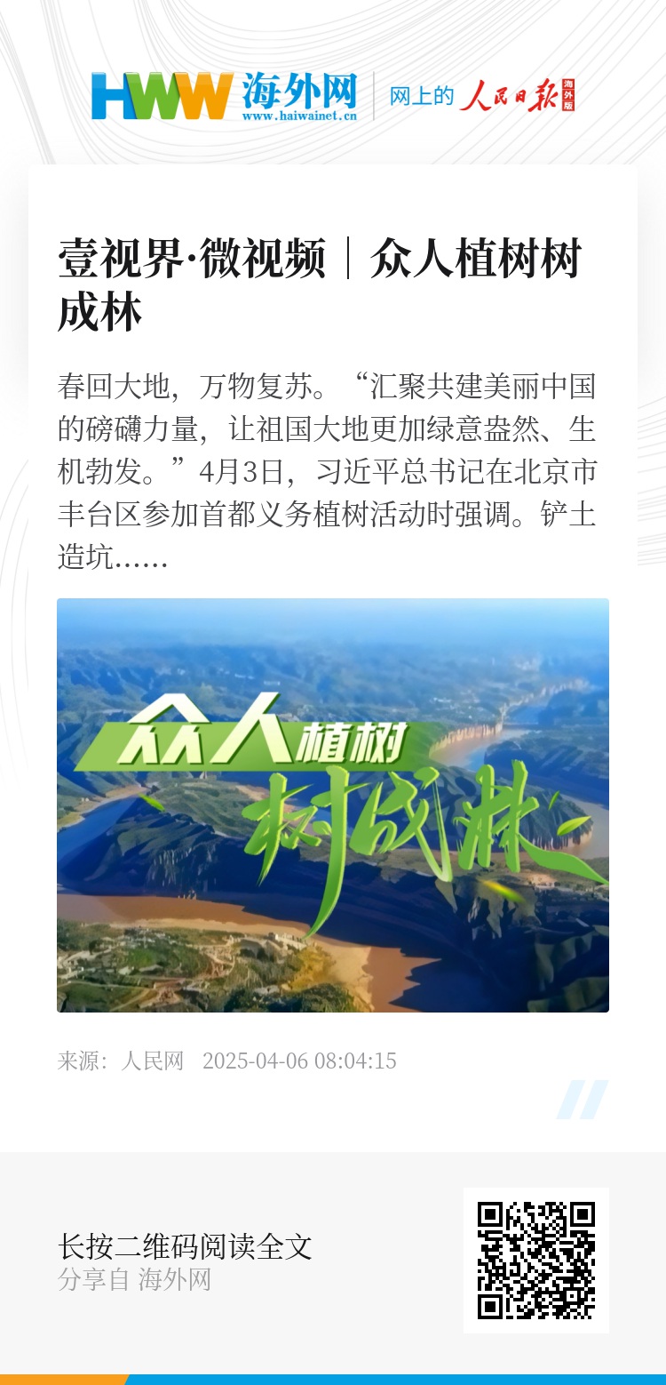 長青樹眾籌最新動(dòng)態(tài)，小巷驚喜與特色小店的獨(dú)特魅力探索
