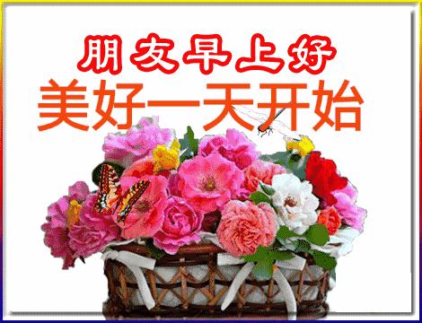 五福碰胡最新版下載，變化、學(xué)習(xí)與自信的力量之源