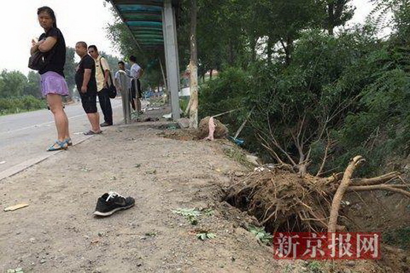 房山車禍真相揭秘，最新消息與各方觀點(diǎn)匯總