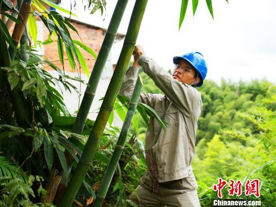 寧德臺風最新動態(tài)，科技智能守護安全前沿