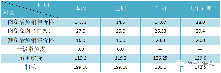獺兔價(jià)格最新行情揭秘，溫情故事在兔子洞展開
