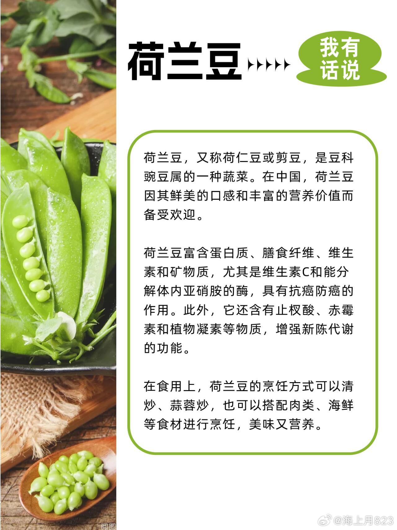 荷蘭豆價(jià)格最新行情指南，掌握最新行情，洞悉荷蘭豆價(jià)格動(dòng)態(tài)